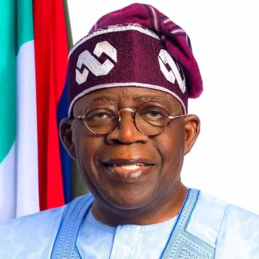 One Year of the Tinubu Administration: Building a safer, stronger and prosperous Nigeria