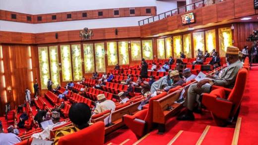 Senate passes Civil Aviation Bill