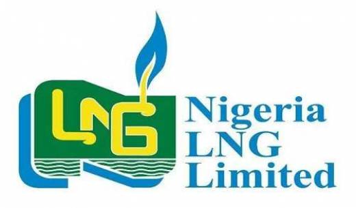 NLNG Literature Prize : Onyemelukwe-Onuobia Wins $100,000