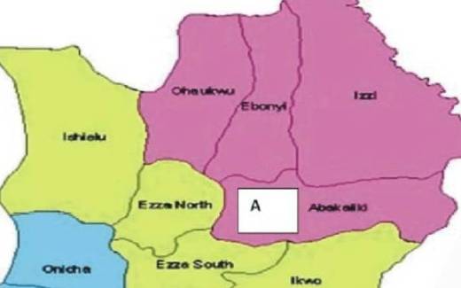 Mother of recovered five-day-old baby sold in Ebonyi cries for help